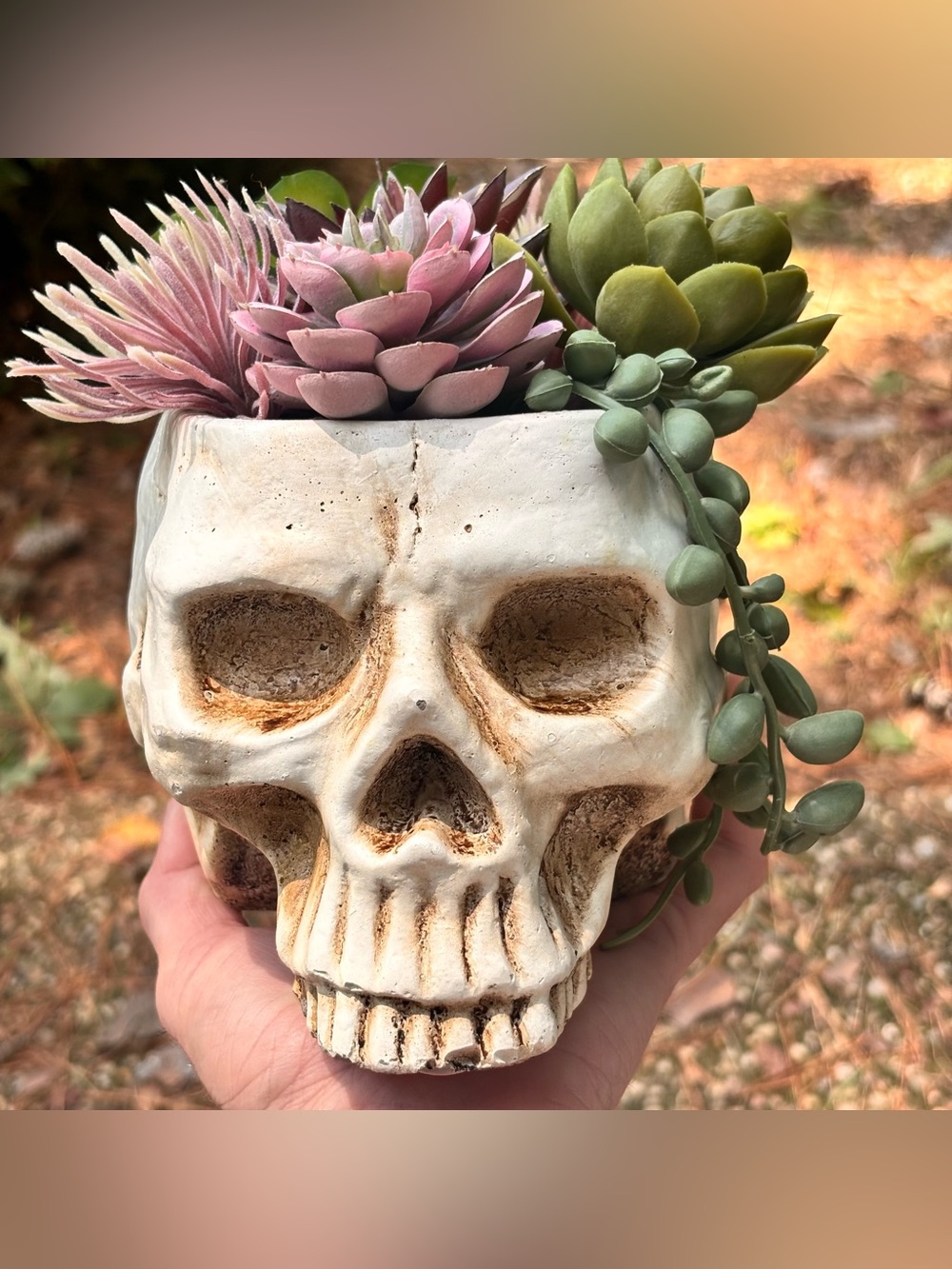 Gothic Skull Planter w/ Faux Succulents